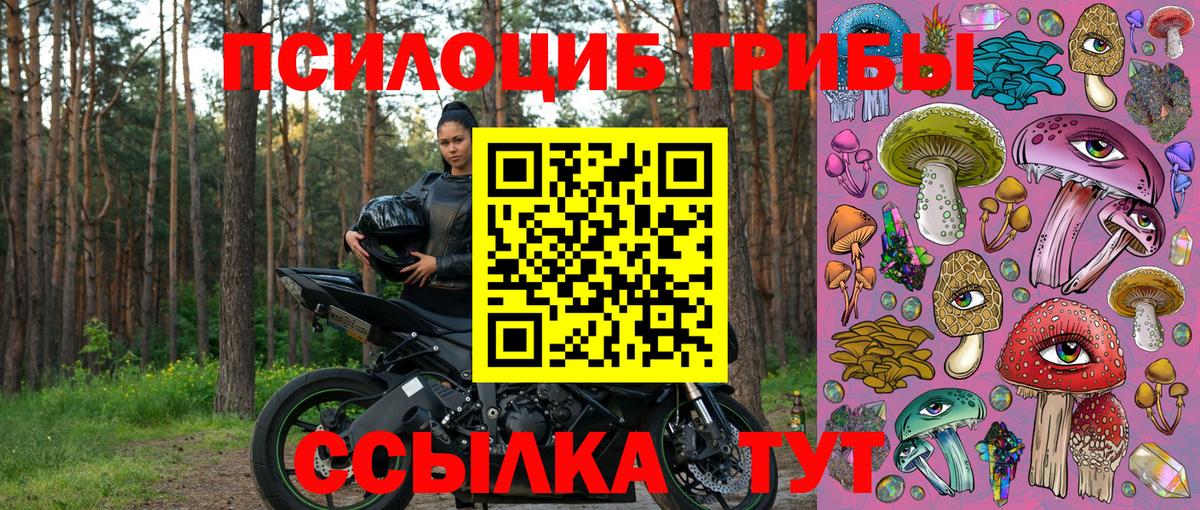 Оренбург  Псилоцибиновые грибы Magic Shrooms  Вход с VPN 